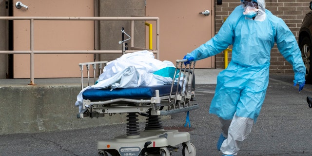 Medical personnel wearing personal protective equipment to protect from the new coronavirus remove a body from the Wyckoff Heights Medical Center to refrigerated containers parked outside, Thursday, April 2, 2020 in the Brooklyn borough of New York. (AP Photo/Mary Altaffer)
