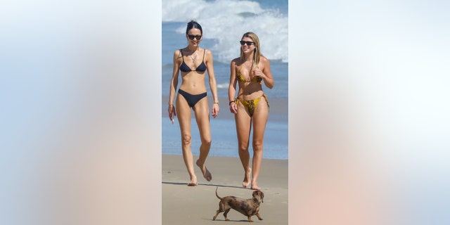 Sofia Richie displays her bikini body while strolling with bf Scott Disick and a friend in Malibu.