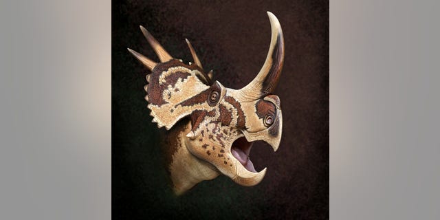 A very unique dinosaur was named after British glam rocker David Bowie.