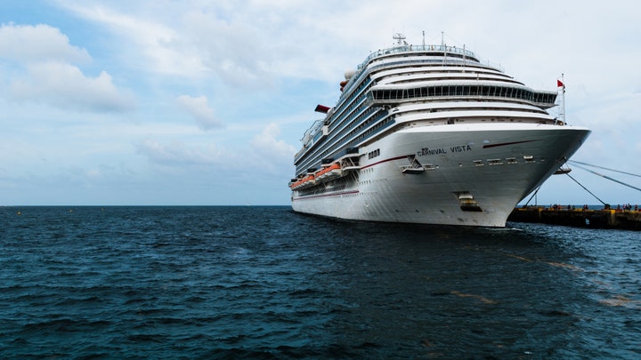COVID-19 travel restrictions cause nightmare for Coral Princess cruise passengers