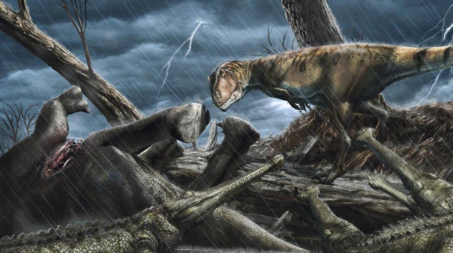 'Bonecrushing' crocodile that hunted dinosaurs 230M years ago discovered in Brazil