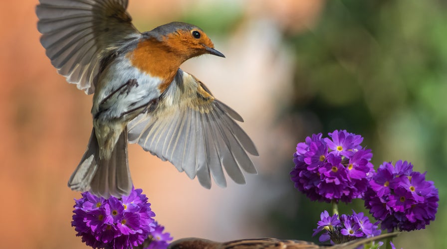 Fox News Flash top headlines for April 10