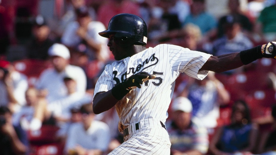Michael Jordan's year in baseball may be immortalized in a