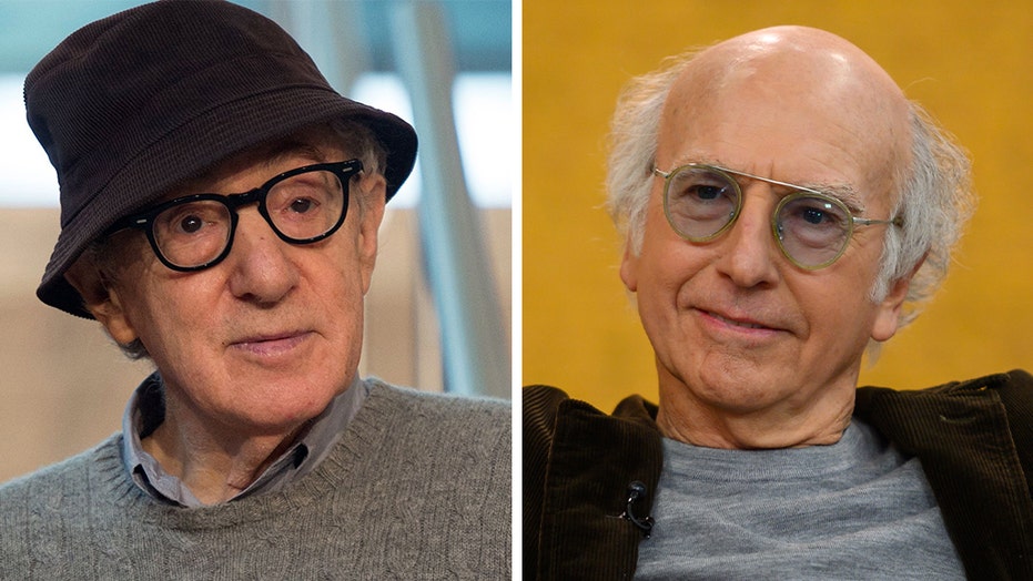 Larry David says it's hard to think Woody Allen 'did ...