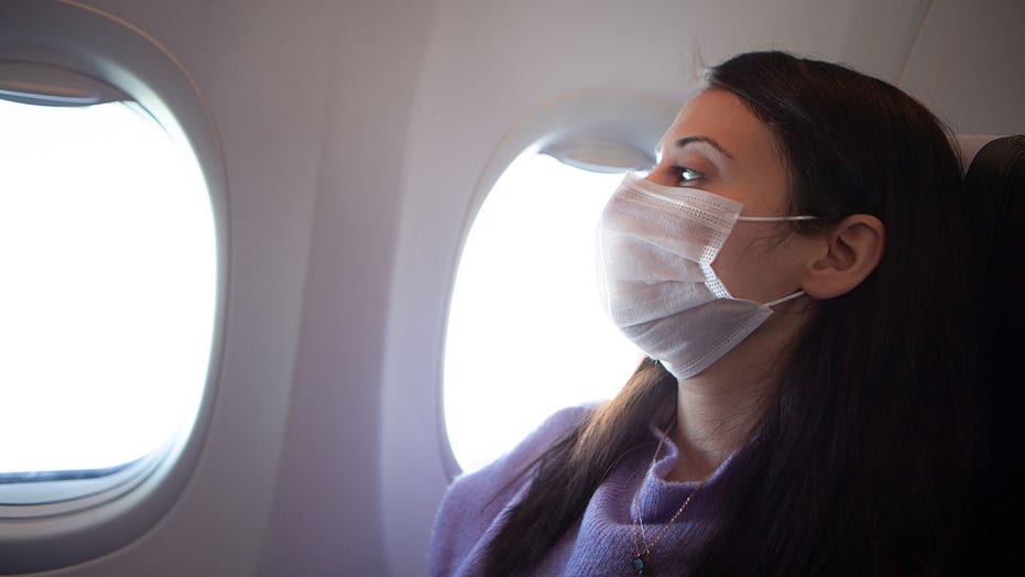 travel mask