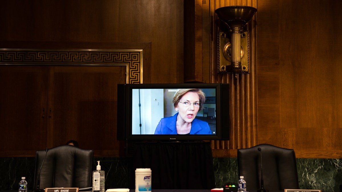 Sen. Elizabeth Warren speaking via video link at the hearing.