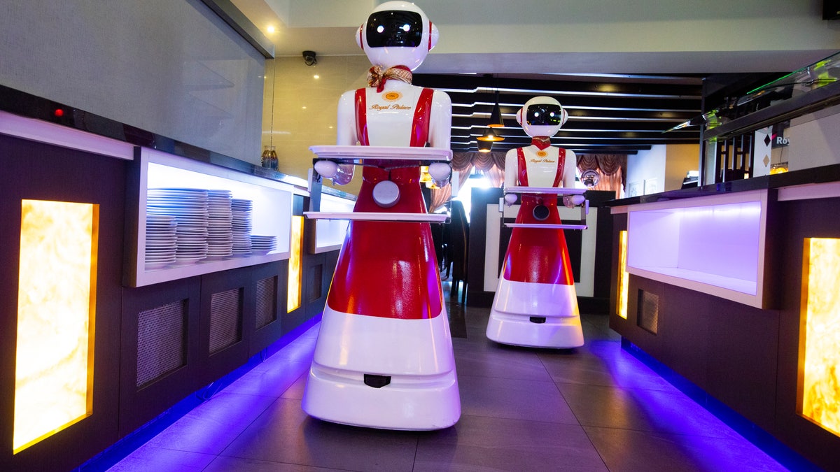 The yet-unnamed robots will be tasked with essential duties like greeting customers, serving food and drinks and returning used tablewares. (AP Photo/Peter Dejong)
