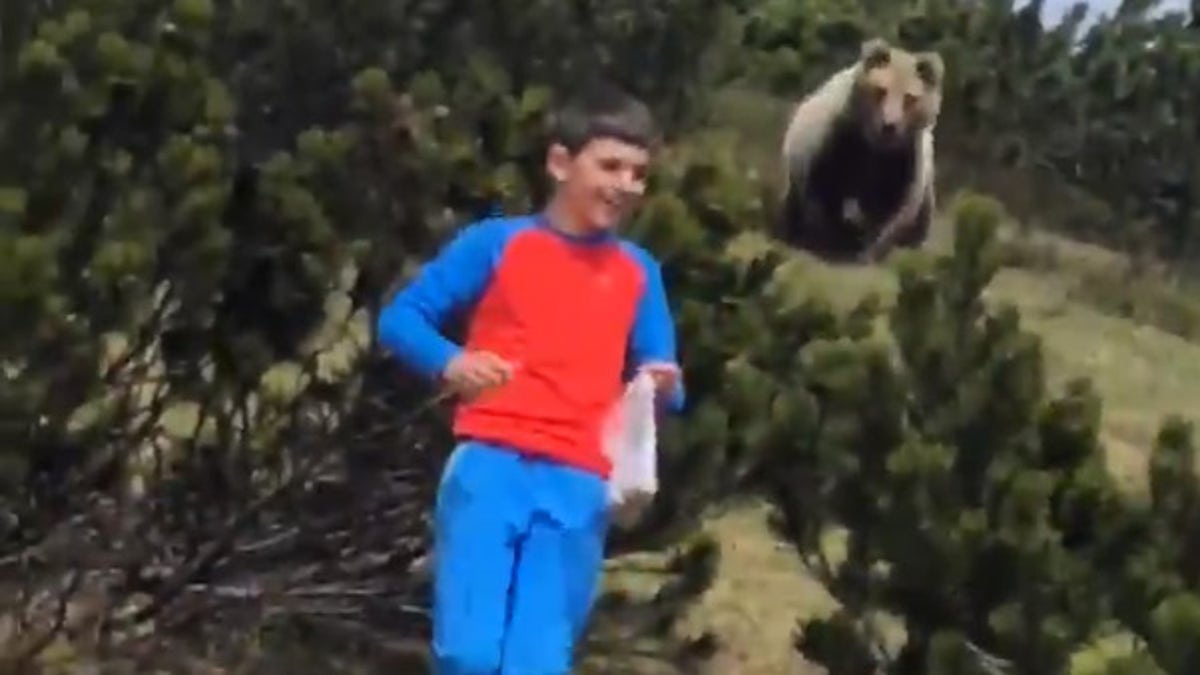 "I saw the bear wasn’t so aggressive, and I asked [my mom’s boyfriend] if he could make me a video," Alessandro told a reporter.