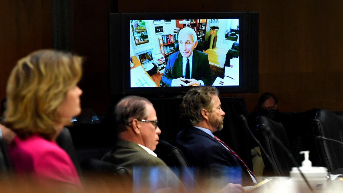 Senators listen as Dr. Anthony Fauci, director of the National Institute of Allergy and Infectious Diseases, speaks remotely during a virtual Senate Committee for Health, Education, Labor, and Pensions hearing, Tuesday, May 12, 2020 on Capitol Hill in Washington. (Toni L. Sandys/The Washington Post via AP, Pool)