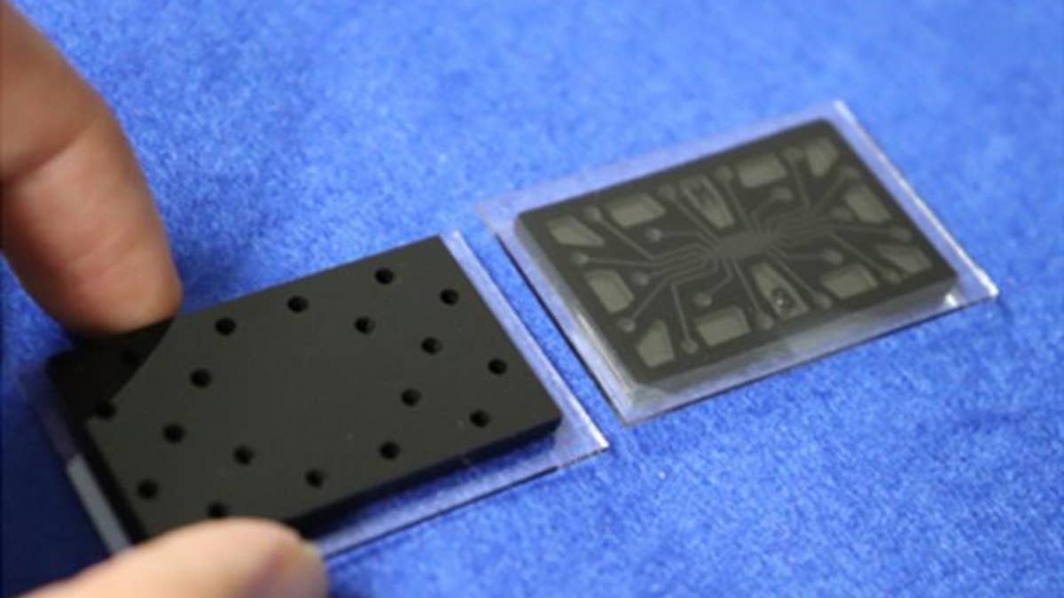 The small microfluidic device, which was used with the analyzer to detect an anti-virus antibody.