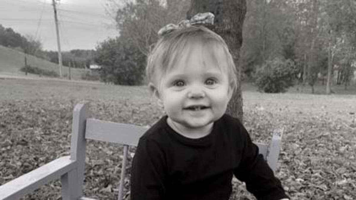 Investigators found the remains of 15-month-old Evelyn Boswell in a Tennessee home earlier this year. 