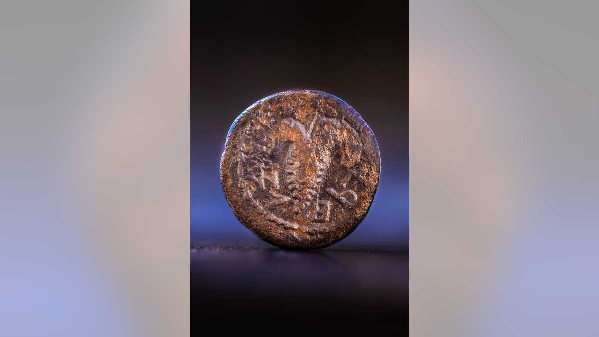 The Bar Kokhba revolt coin inscribed with the words "Return to Israel" with a cluster of grapes in the center.