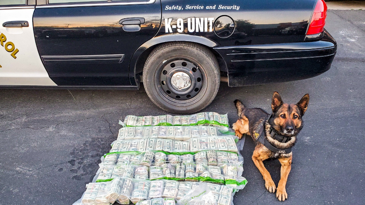 The CHP officer was traveling with his K-9 partner "Beny," who noticed the smell of narcotics on the cash, CHP said.