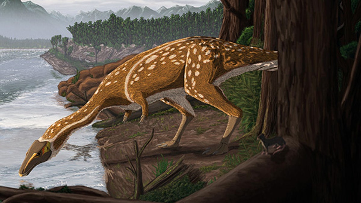Artist’s impression of an elaphrosaur.