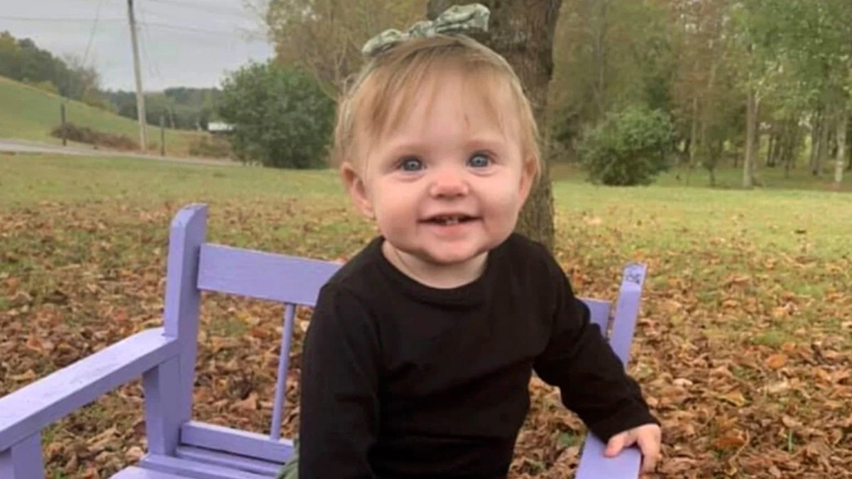 Investigators found the remains of 15-month-old Evelyn Boswell in a Tennessee home earlier this year. (Tennessee Bureau of Investigations)