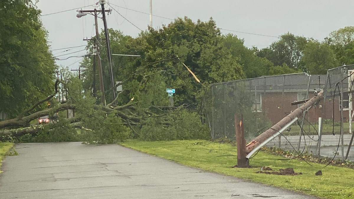 A powerful line of thunderstorms snapped trees and brought down power lines across Middle Tennessee on Sunday.