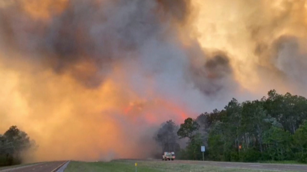 Fire and smoke rise from trees alongside a road in Santa Rosa County, Florida. Wildfires raging in the Florida Panhandle have forced nearly 500 people to evacuate from their homes, authorities said.
