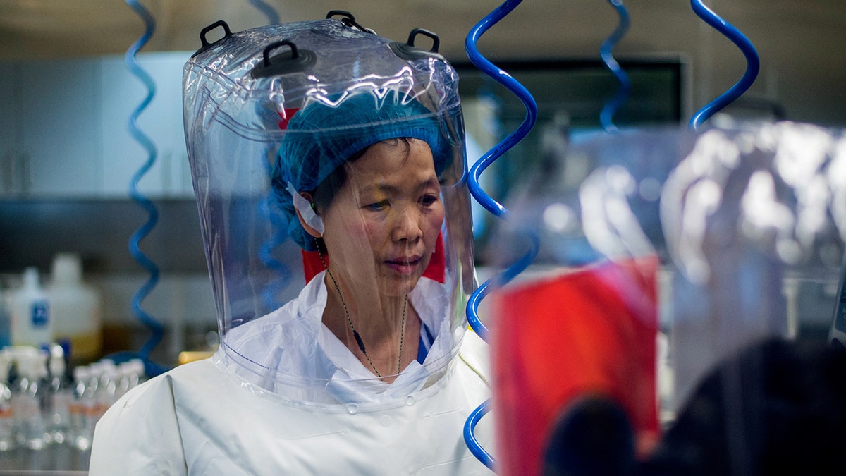 Chinese virologist Shi Zhengli is seen inside the P4 laboratory in Wuhan, the capital of China's Hubei province, on February 23, 2017.