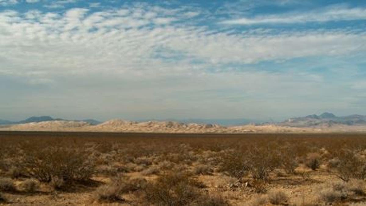 An LAPD officer was reportedly shot early Sunday during a camping trip in Southern California's Mojave Desert. 