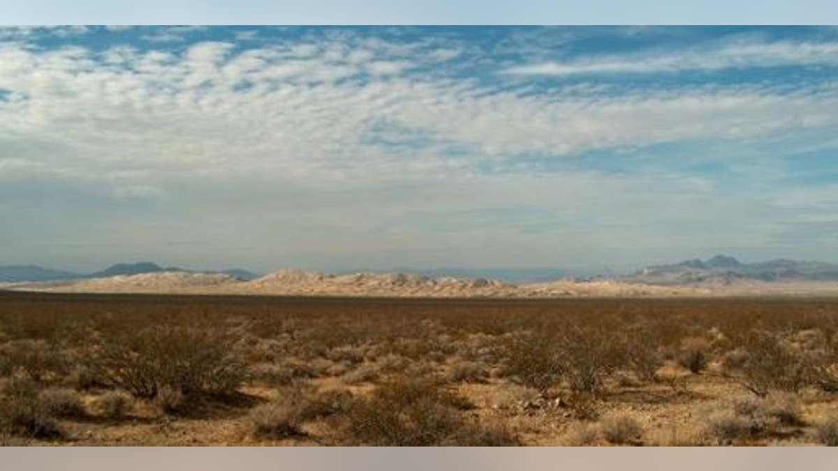 An LAPD officer was reportedly shot early Sunday during a camping trip in Southern California's Mojave Desert.