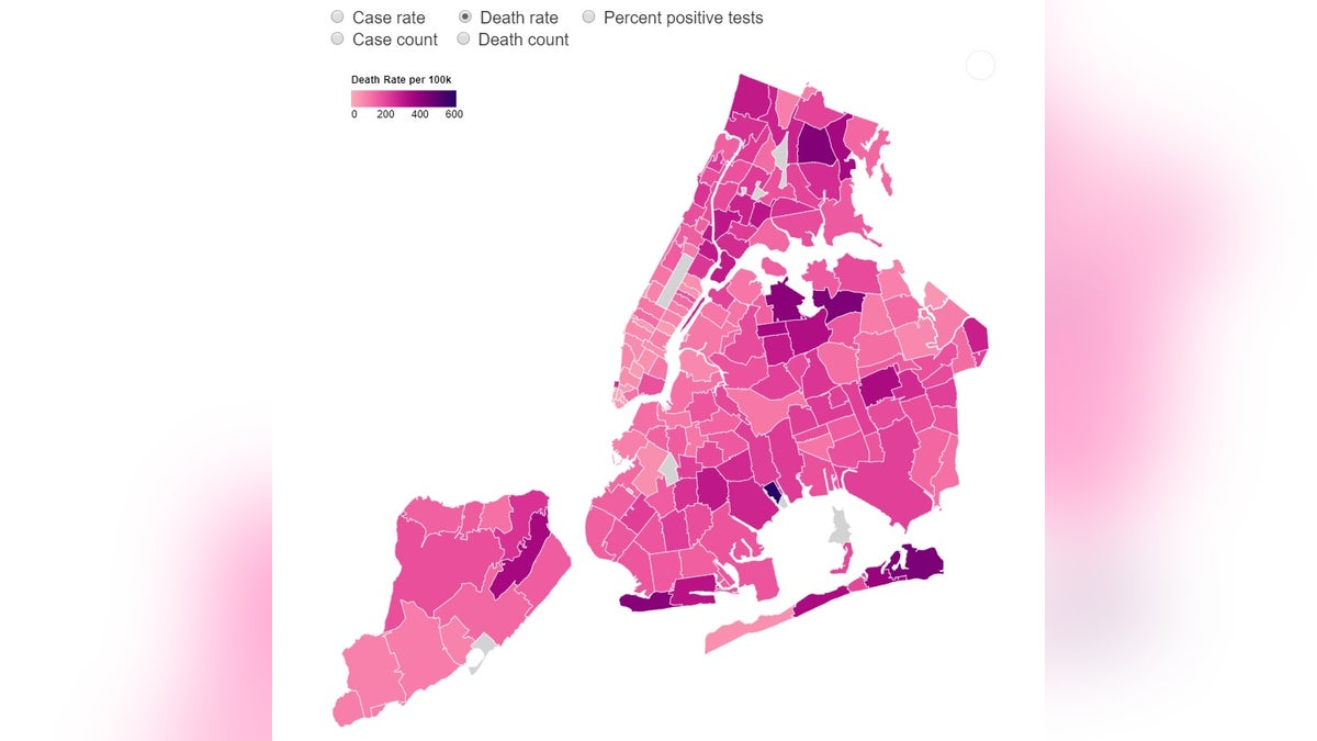 Data from the New York City's Department of Health shows death rates per 100,000 across New York City.