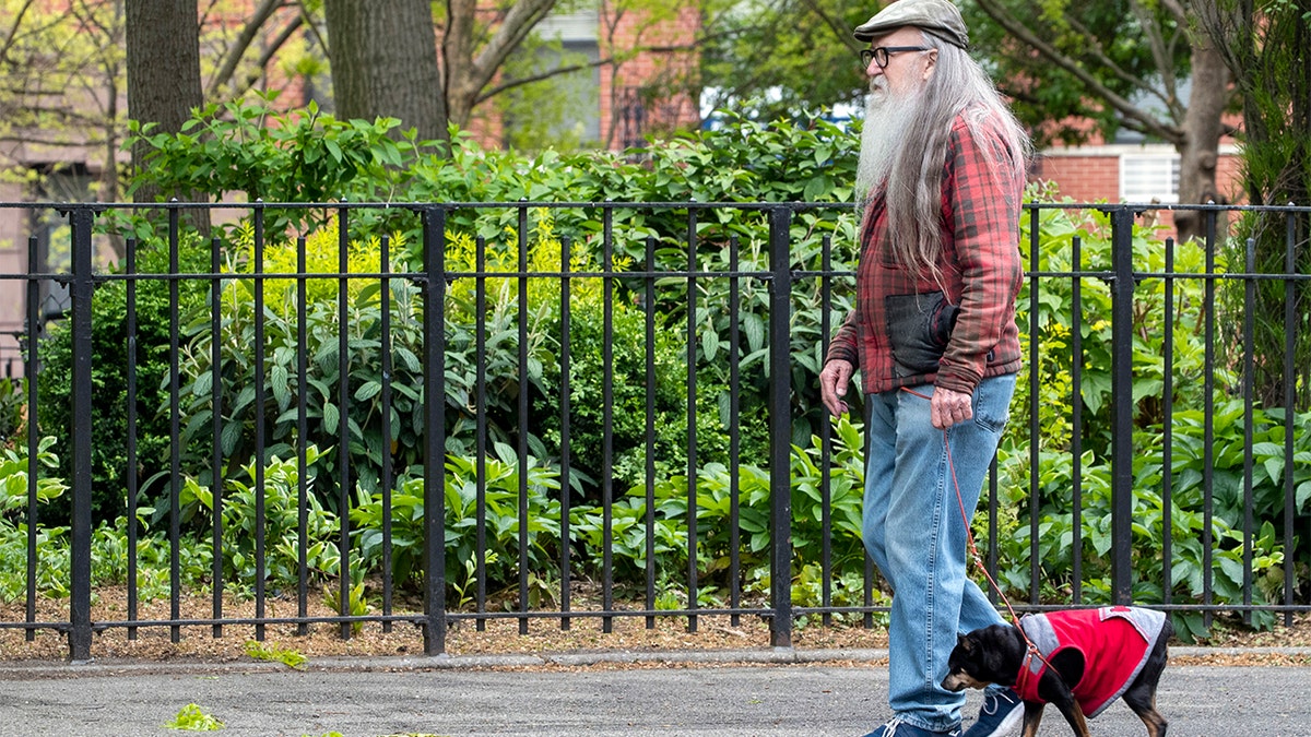 In this Monday, May 11, 2020 photo, a man walks his dog without a face mask in Tompkins Square Park in New York. New York's governor has ordered masks for anyone out in public who can't stay at least six feet away from other people. Yet, while the rule is clear, New Yorkers have adopted their own interpretation of exactly when masks are required, especially outdoors. (AP Photo/Mary Altaffer)