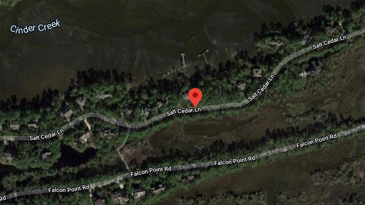 South Carolina deputies responded to a pond off Salt Cedar Lane in Kiawah for a report of an alligator encounter with a woman.