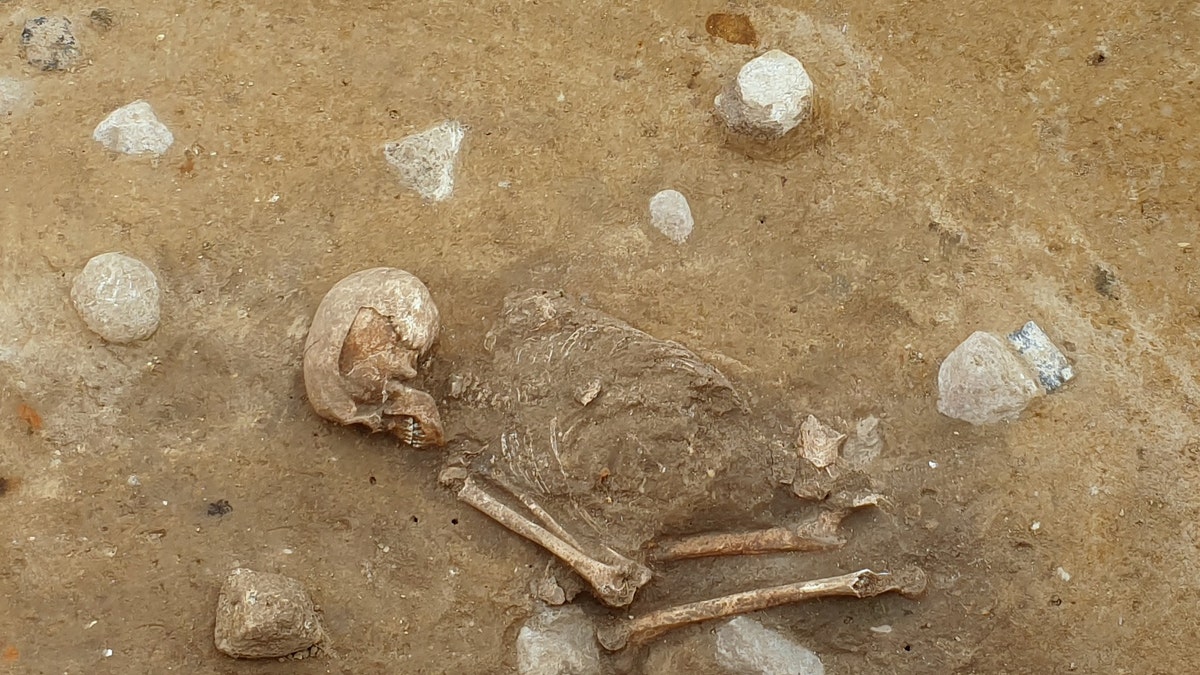 The skeleton was discovered in the village of Bietikow in the German state of Brandenburg.