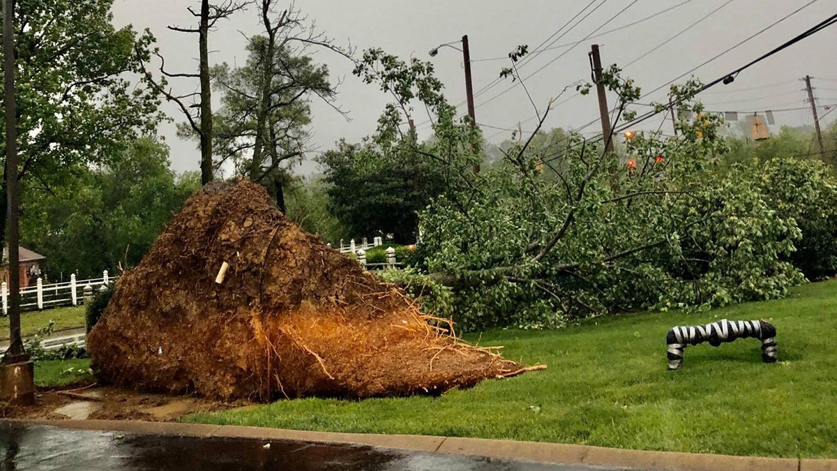 Damage was reported across Nashville after a derecho slammed the region on Sunday.