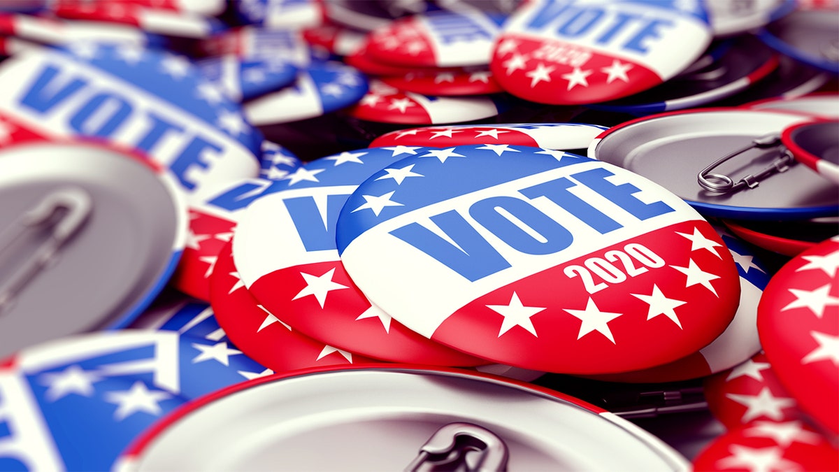 A former elections has pleaded guilty to accepting bribes in exchange for propping up candidates.