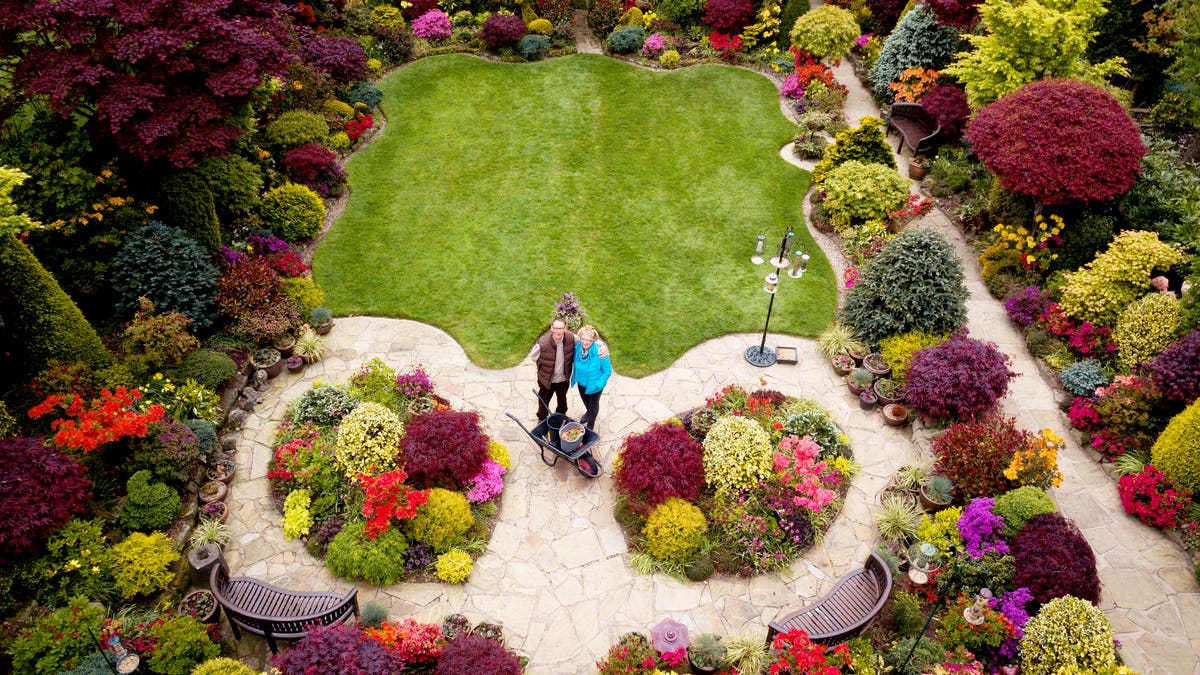 Bloom amid Covid gloom: Home gardening fills up lockdown days