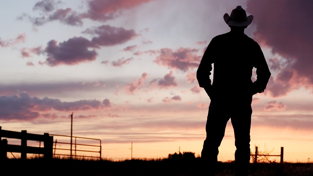 Cowboy silhouetted against the sunset