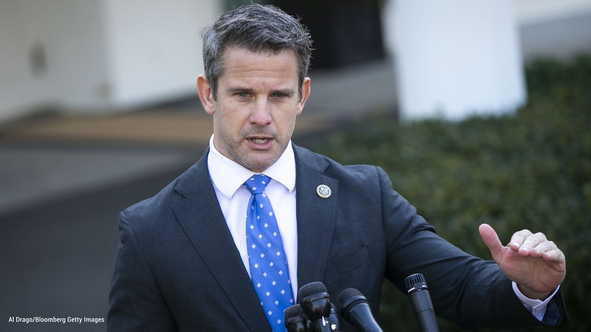 Rep. Adam Kinzinger 