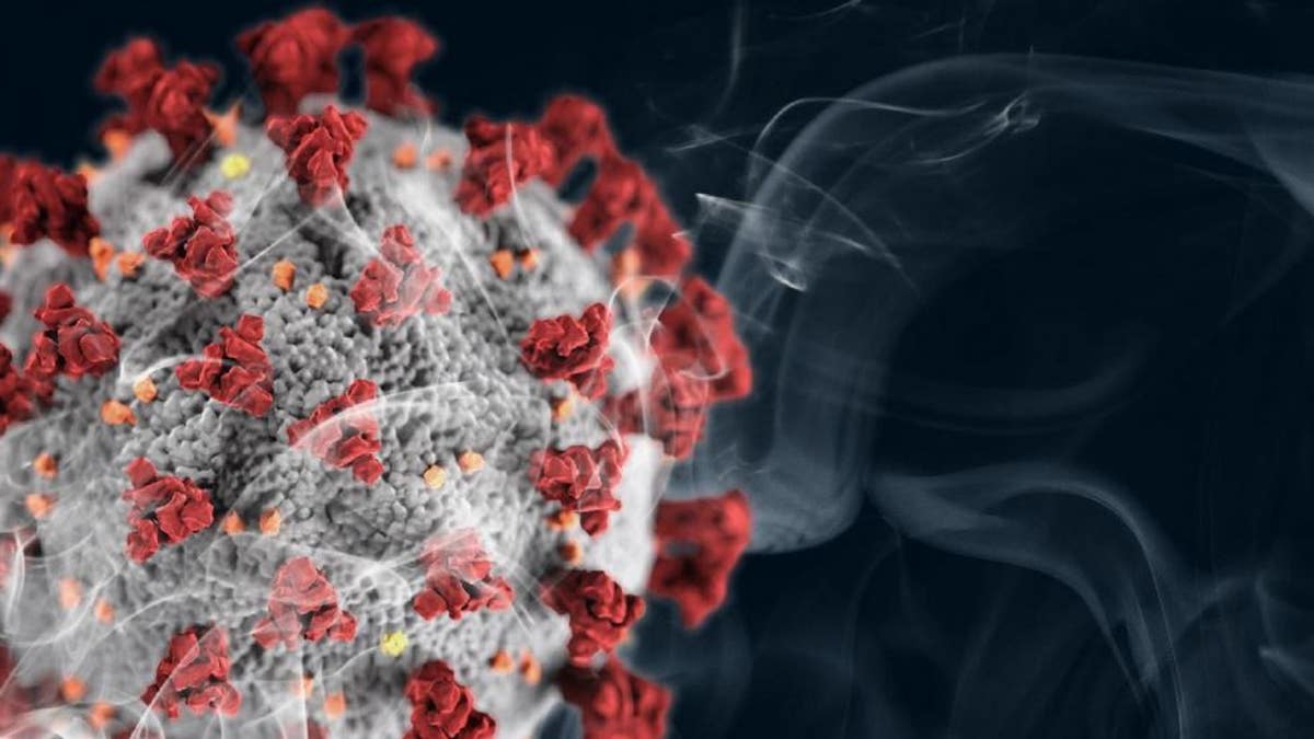 Smoking changes the lungs in ways that make the coronavirus more likely to bind to lung cells.