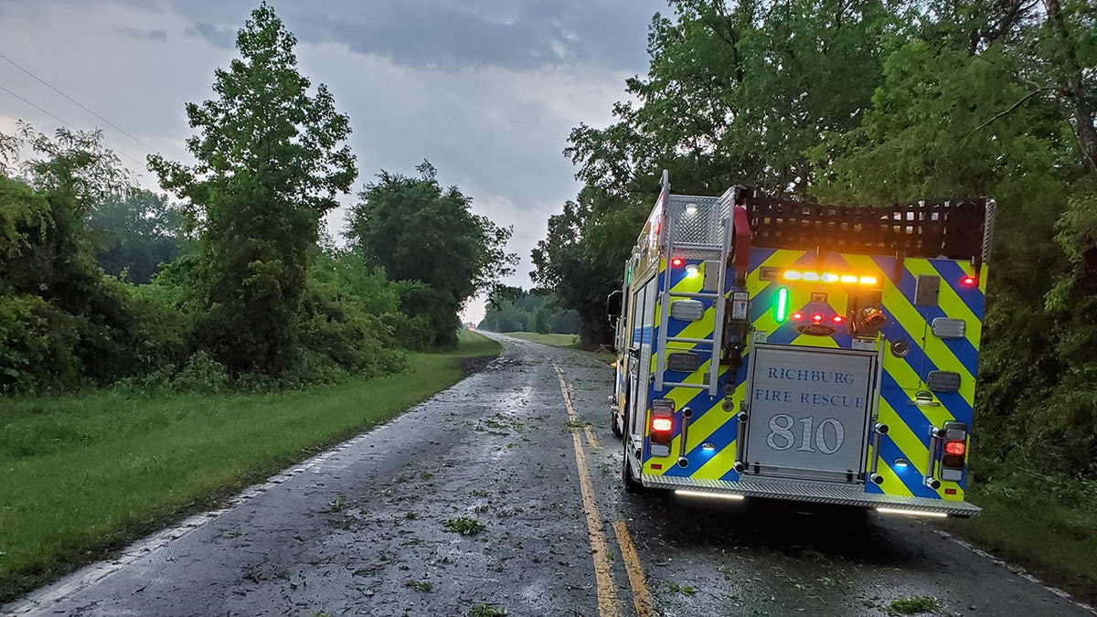 Numerous trees were downed and damage was reported after severe thunderstorms hit South Carolina on Tuesday.