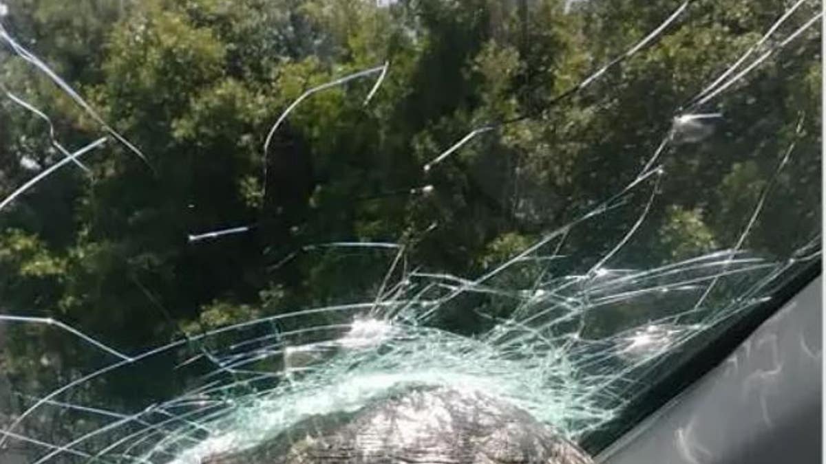 A woman and her brother in Georgia were not injured after a turtle slammed into their car.