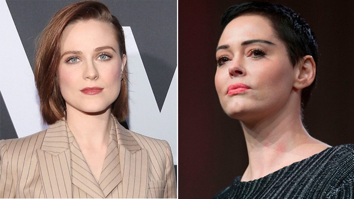 Evan Rachel Wood called Rose McGowan's lengthy tweet against Democrats 'spot on.'