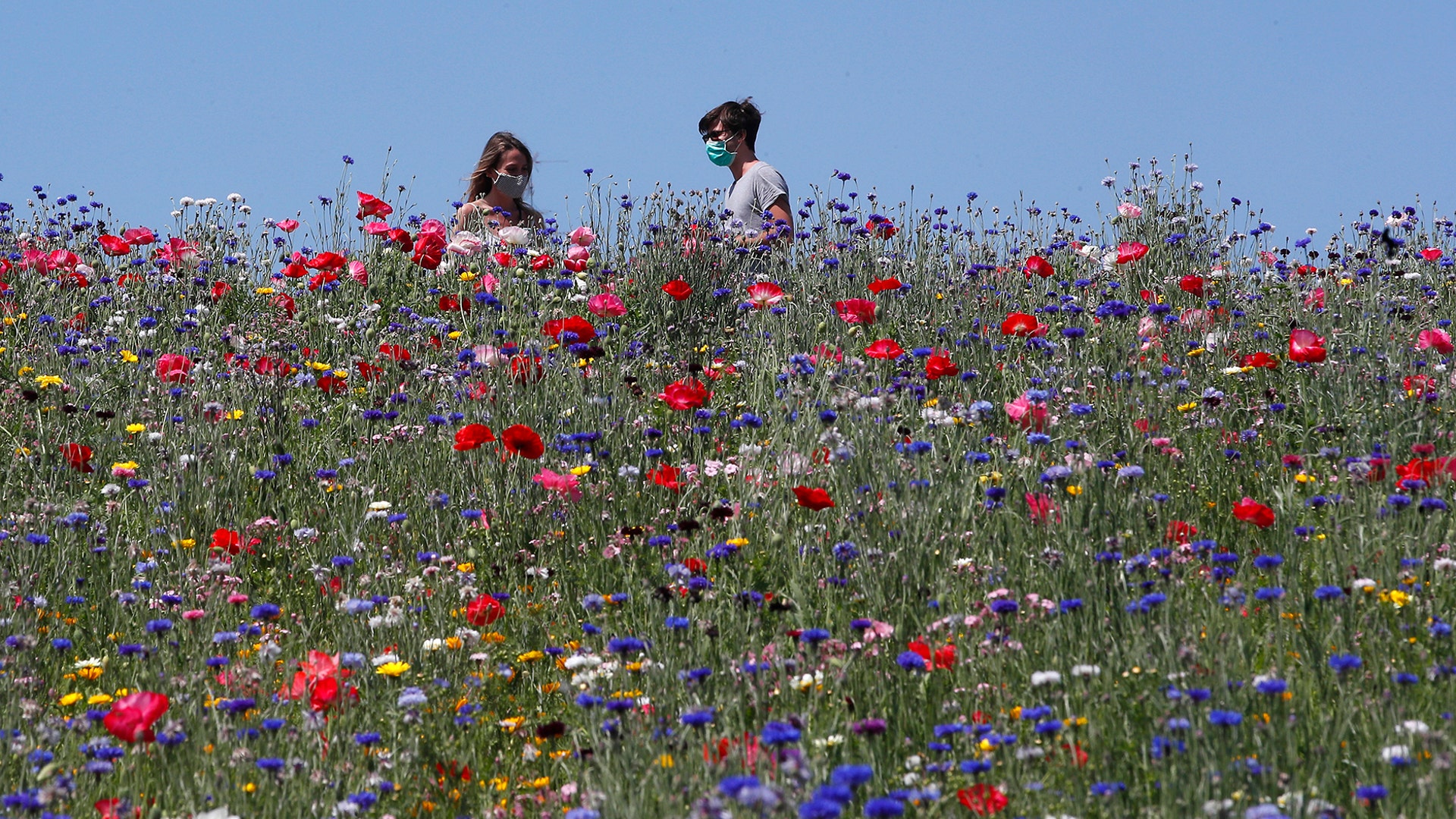 People wear face masks as they enjoy the sun in a park full of flowers, in Milan, Italy, May 4, 2020. 