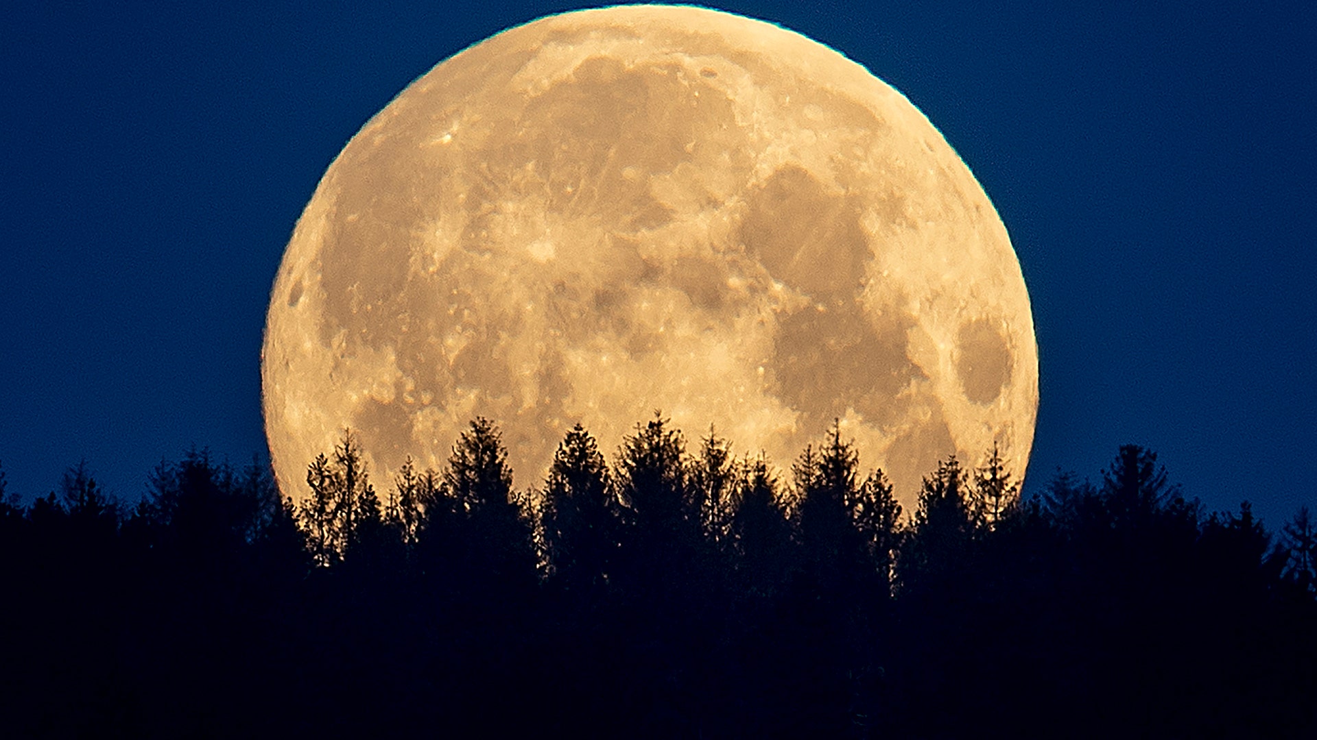 The full moon sets behind trees in the Taunus region near Frankfurt, Germany, May 7, 2020.