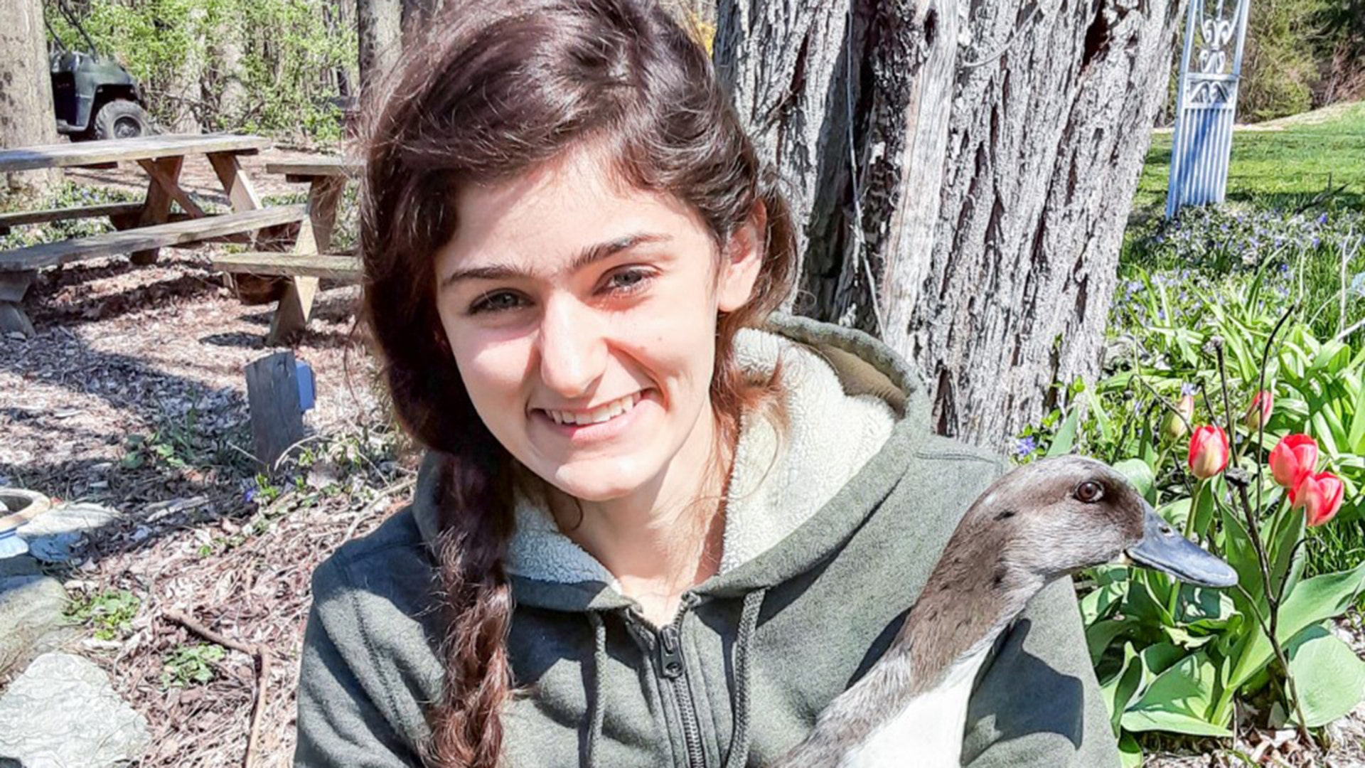 An 18-year old pre-vet college student has taken charge over a grim situation during this time and has turned it into something positive. During this time we have been seeing a large boom in the amount of animals needing homes. More and more pets / farm animals are being dumped and even when COVID is over many still will not be able to keep animals due to the effect having lost their job has put on their ability to pay for their animals care. Tiffany Bellissimo has decided to start a farm animal sanctuary on her family's farm, Lilymoore Farm, in order to help all these animals in need of a home. Dreaming of a Chance Farm Animal Sanctuary looks to help take in these animals in need of a home as well as rescue and rehabilitate many more animals in need. Many people have been focusing on household pets but farm animals unfortunately haven't been on a lot of people's radar. Many farmers and backyard poultry owners have had difficulty being able to care for their animals anymore so Dreaming of a Chance is here to help. Tiffany has created a safe place for animals in need. She is mostly focusing on poultry right now until she can gain enough support to be able to expand into helping large farm animals as well.