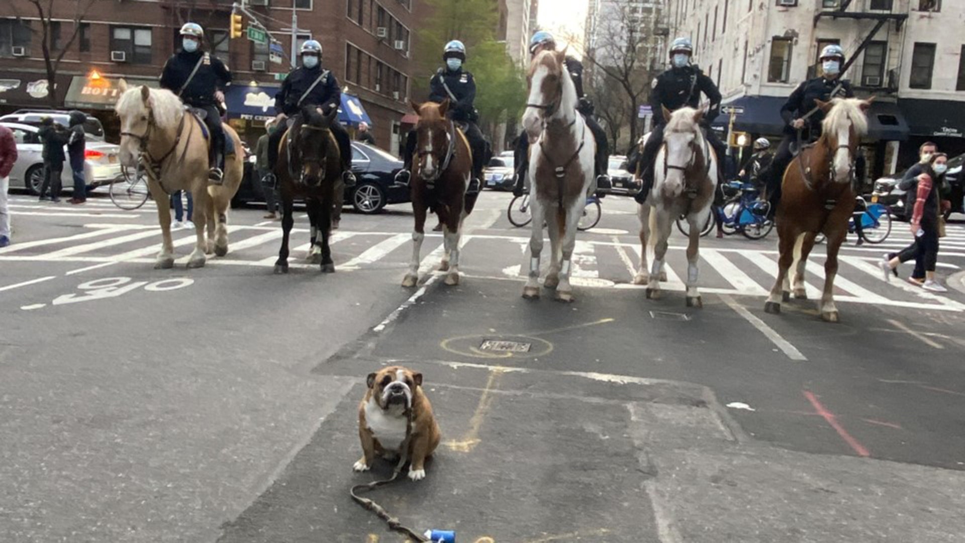 Olive Oyl’ and New York’s finest salute our essential + health care workers on East 38th ST!! NY STRONG!!