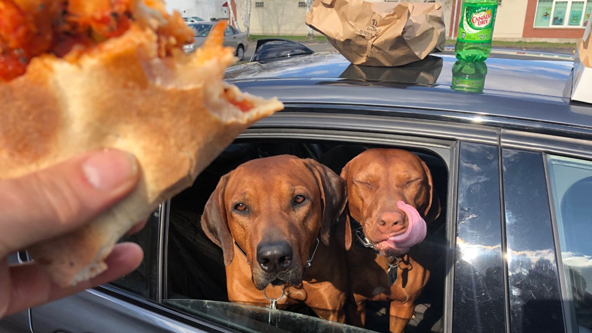 Celebrating beautiful weather by eating pizza for dinner with Kerry and P!nk in a parking lot. Semper Fi.