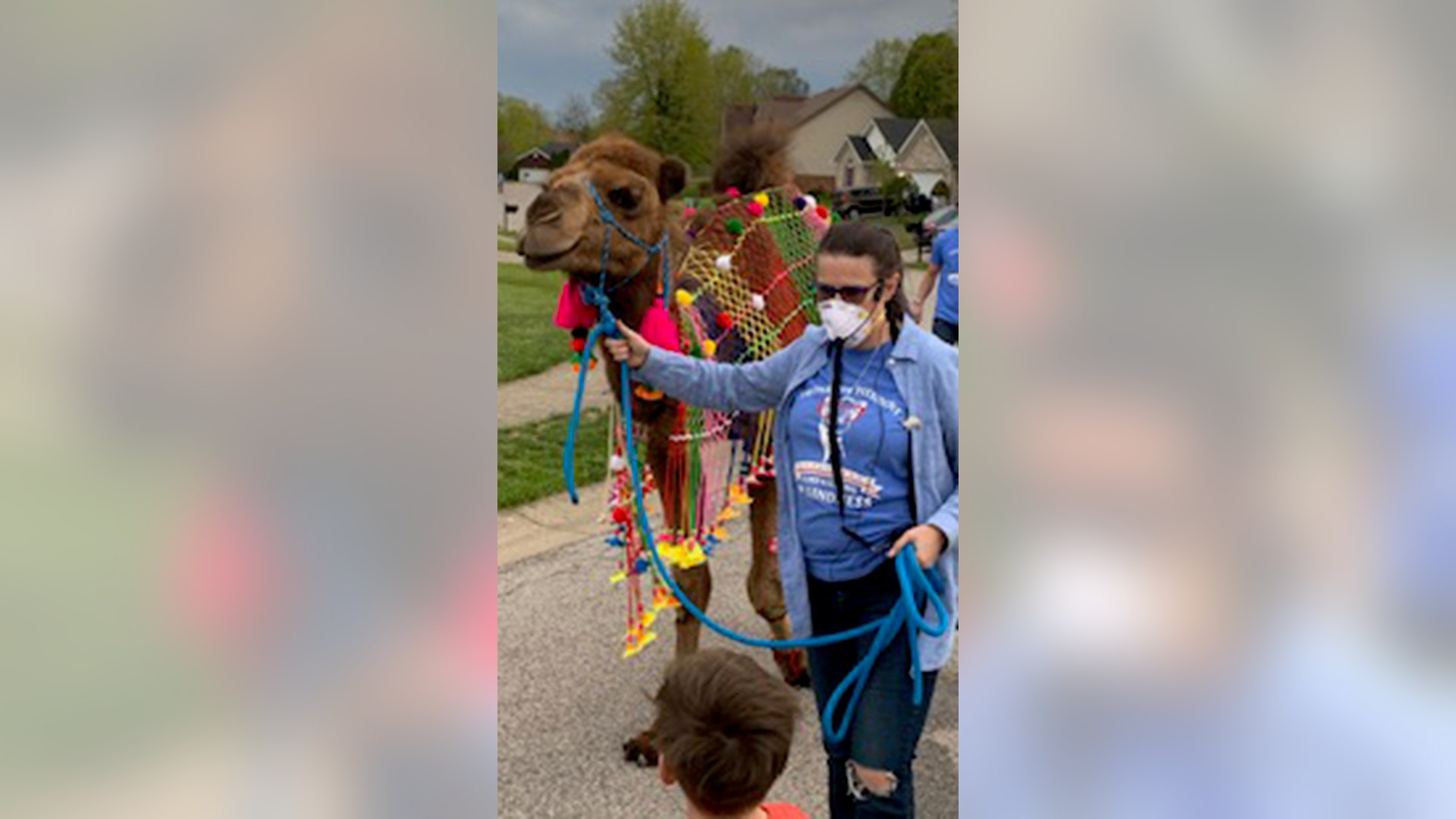This is Truman the Camel. Our neighborhood needed some cheering up so our HOA approved a different kind of stroll through our streets. It was just what we all needed. As we socially distanced by staying in our own yards, Truman and friends strolled by all 176 homes, spreading kindness and hope. The excitement was palpable as families stood together on the edge of their lawns in expectation