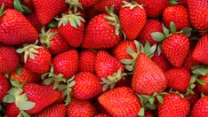 Strawberries recalled due to hepatitis A outbreak across several states and in Canada