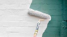 Norwegian government funds research to find out if white paint is racist