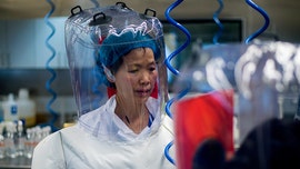 Coronavirus is just 'tip of iceberg,' Chinese researcher cautions