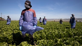 Farmworkers key to keeping America fed wary of coronavirus but getting help from initiatives giving back