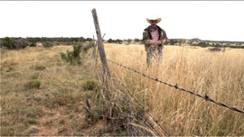 Farmers dubbed the 'Carbon Cowboys' say business is booming during coronavirus