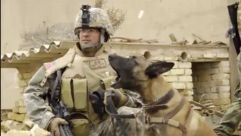 Veteran reunited with military working dog that saved his life