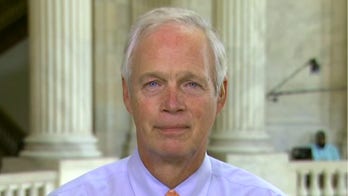 Johnson says Dem 'hissy fit' over subpoena of Burisma-linked firm has him 'somewhat suspicious'